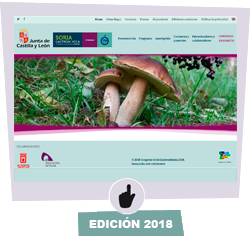 Enlace a la página web de la:  edición 2018 de Soria Gastronómica